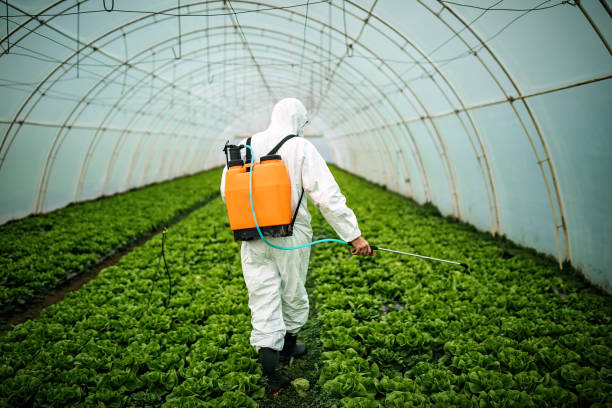 Best Pest Control Near Me  in Hughesville, PA