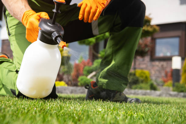 Best Mosquito Control Services  in Hughesville, PA