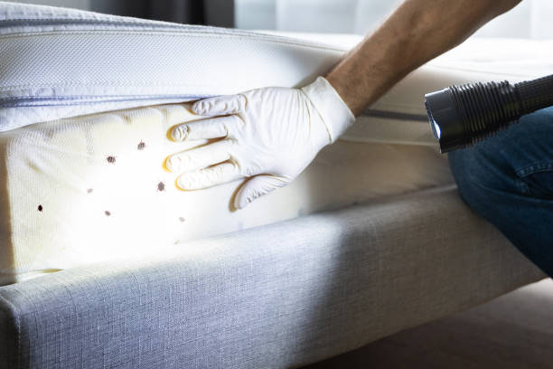 Best Best Pest Control Companies  in Hughesville, PA