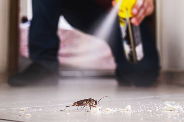 Best Termite Control Services  in Hughesville, PA
