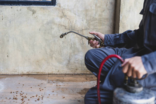 Best Wasp Removal Services  in Hughesville, PA